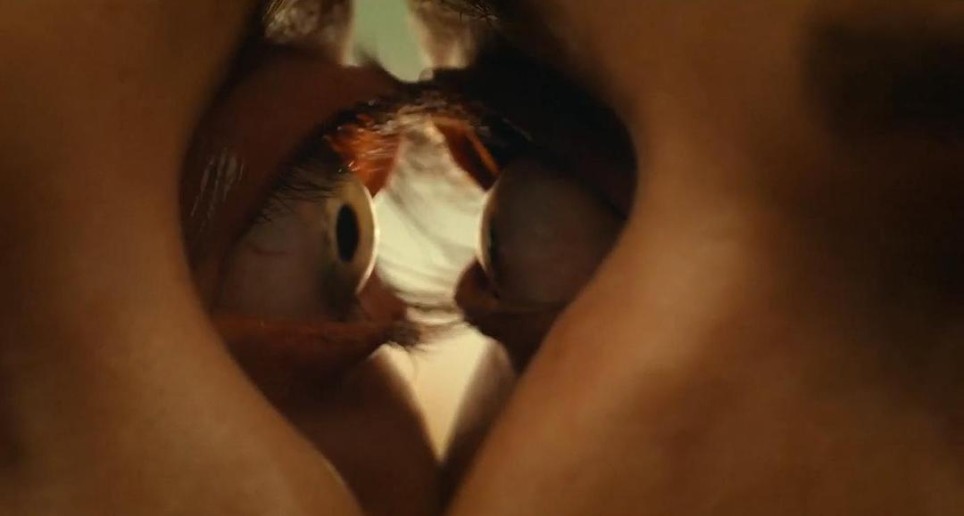 （播客）〔速通016〕《同甘共苦》："我们永远在一起"是祝福还是诅咒