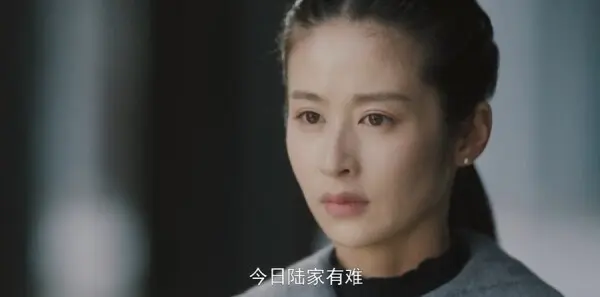 隐锋第16集剧照